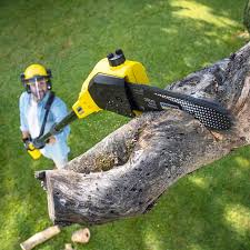 Best Tree and Shrub Care  in Wentzville, MO